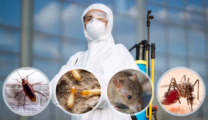 Types of Pest Control Services
