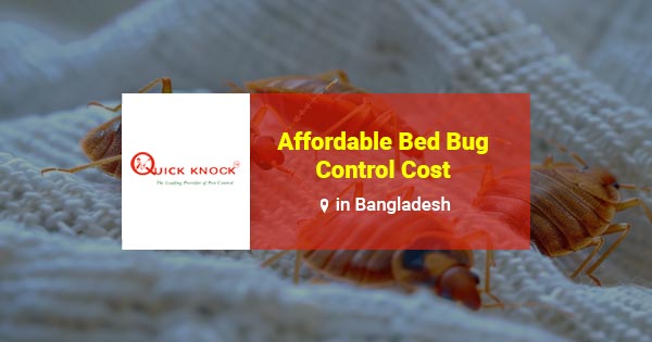 Affordable Bed Bug Control Cost in Bangladesh