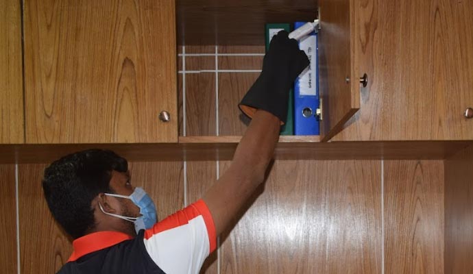 Benefits of Using Quick Knock Pest Control Services