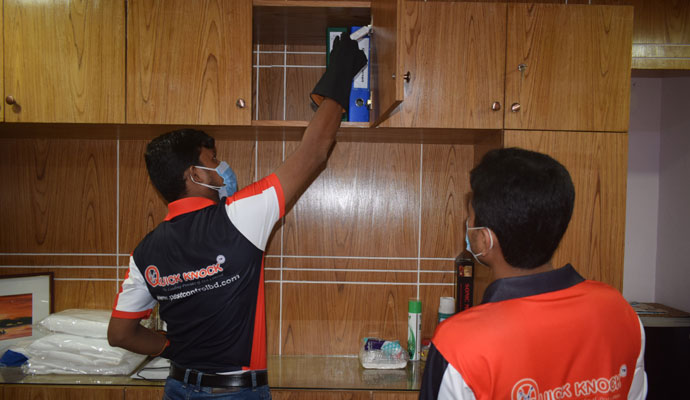Best Pest Control Service in Dhanmondi, Dhaka