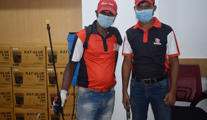 Pest Control Service in Mohammadpur, Dhaka