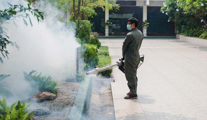 Best pest control service in Dhaka