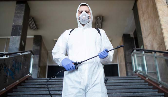 Commercial Pest Control Services