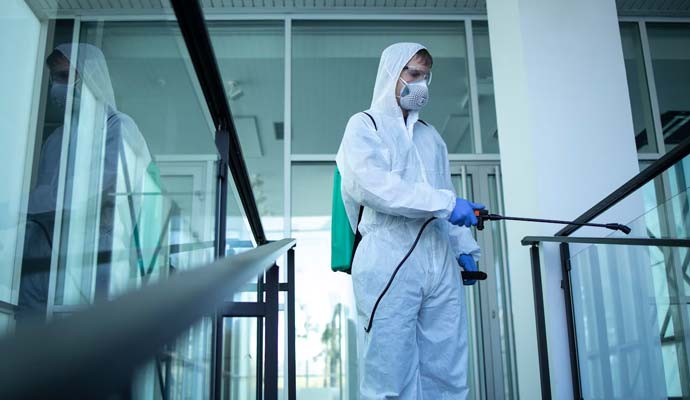 Common Pests Found in Universities