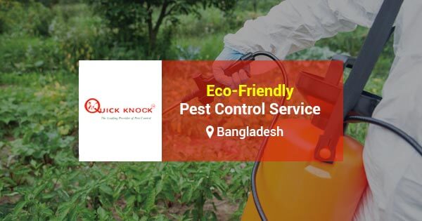 Eco-friendly pest control service in Bangladesh | Safe & effective