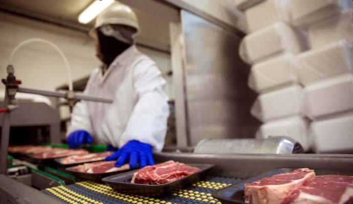 Food Processing