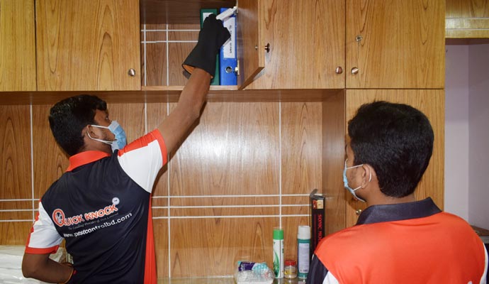 Home, Office & Private Pest Control Services