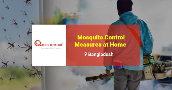 Mosquito control measures at home in Bangladesh