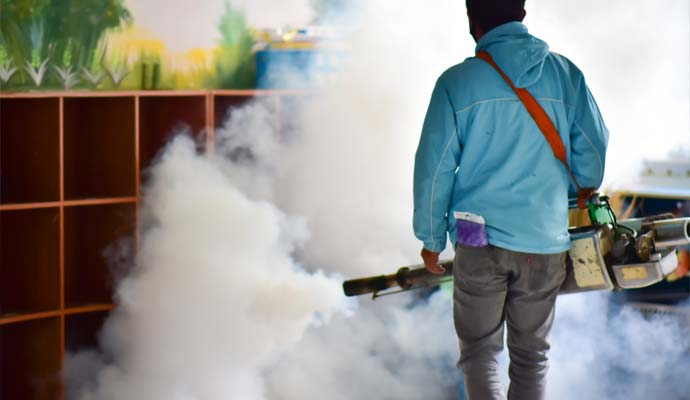 Mosquito Control Service in Uttara