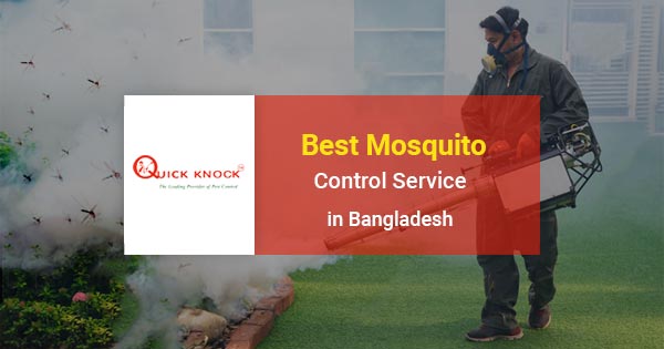 Best mosquito control service in Bangladesh