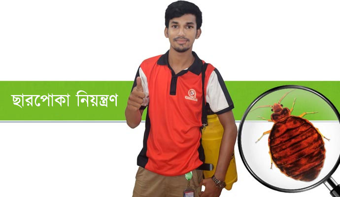 ছারপোকা নিয়ন্ত্রণ ট্রিটমেন্ট, ঢাকা