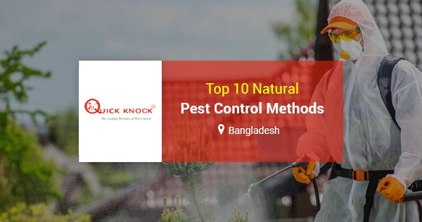 Top 10 natural pest control methods in Bangladesh