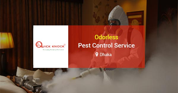 Odorless pest control service in Dhaka | Safe home treatment