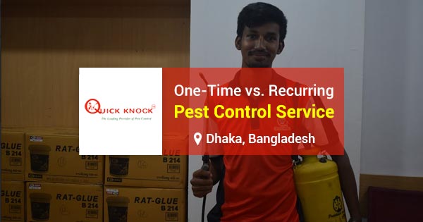 One-time vs. recurring pest control service: choose the right one