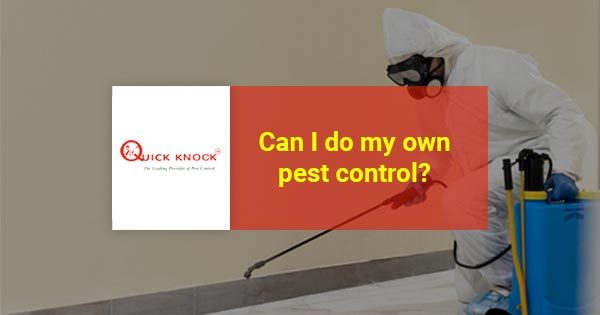 Can I do my own pest control?