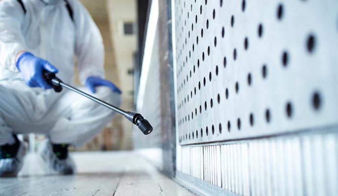 Pest Control Service for Apartments