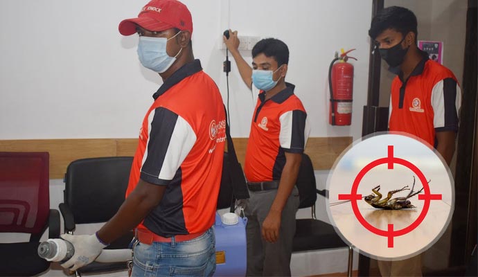 Pest Control Service in Dakshinkhan