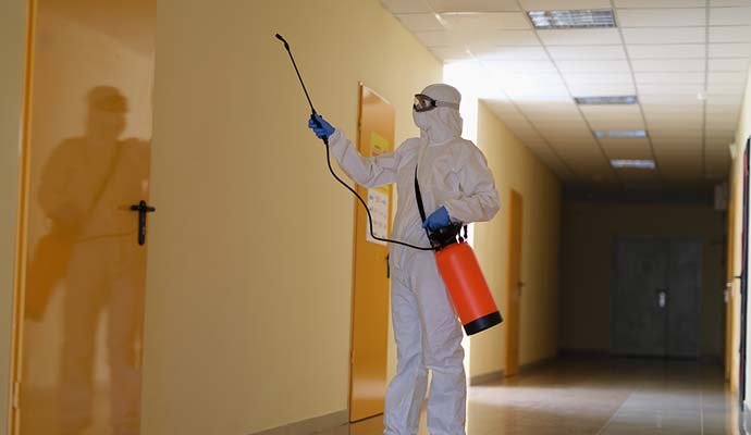 Pest Prevention Strategies for Schools