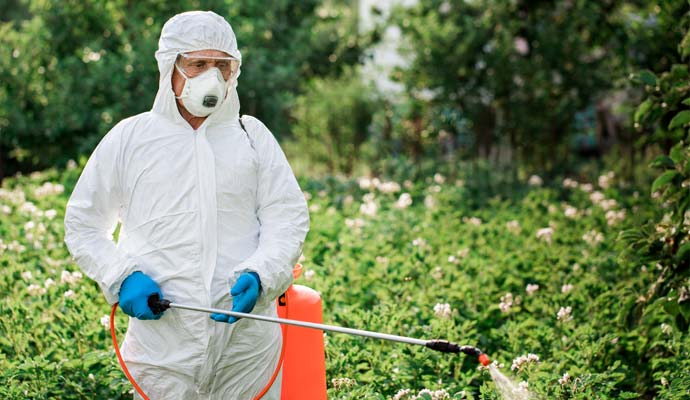 Leading professional pest control services in Farmgate