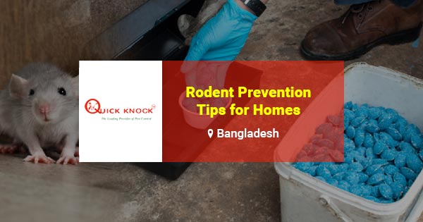 Rodent prevention tips for homes in Bangladesh