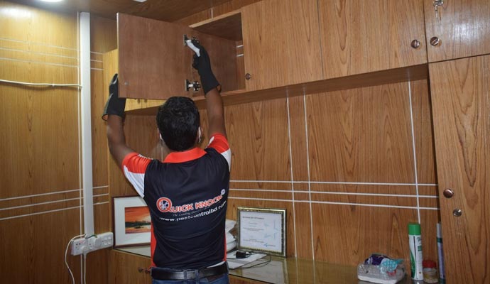 Excellent Pest Control Service in Dhaka Area