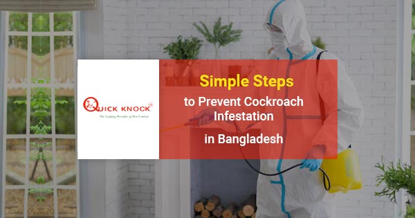 Simple steps to prevent Cockroach infestation in Bangladesh