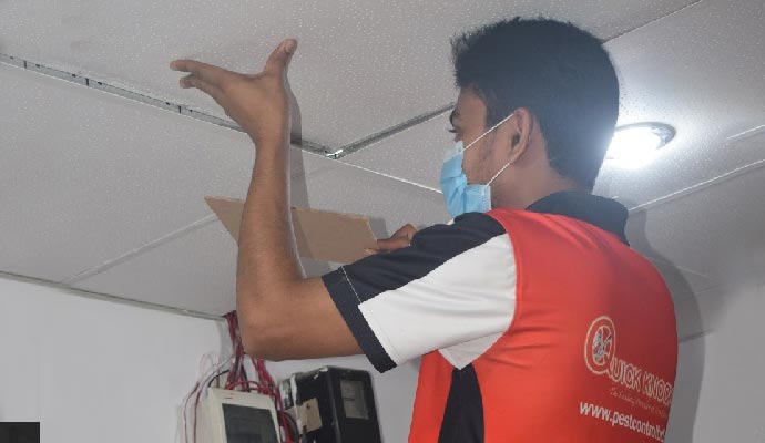 Quick Knock Pest Control Ltd - Top Pest Control Service Provider