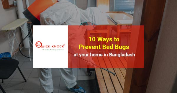 10 ways to prevent bed bugs at your home in Bangladesh