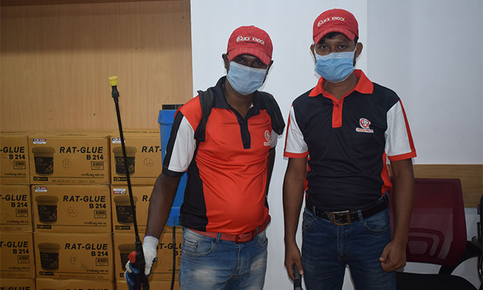 Why Must to Order a Professional Pest Control Service